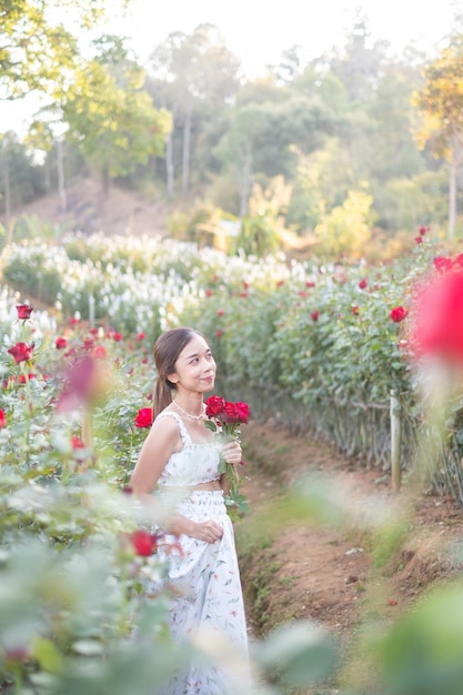 Jovem mulher asiática vestindo um vestido branco posa com uma rosa no jardim de rosas