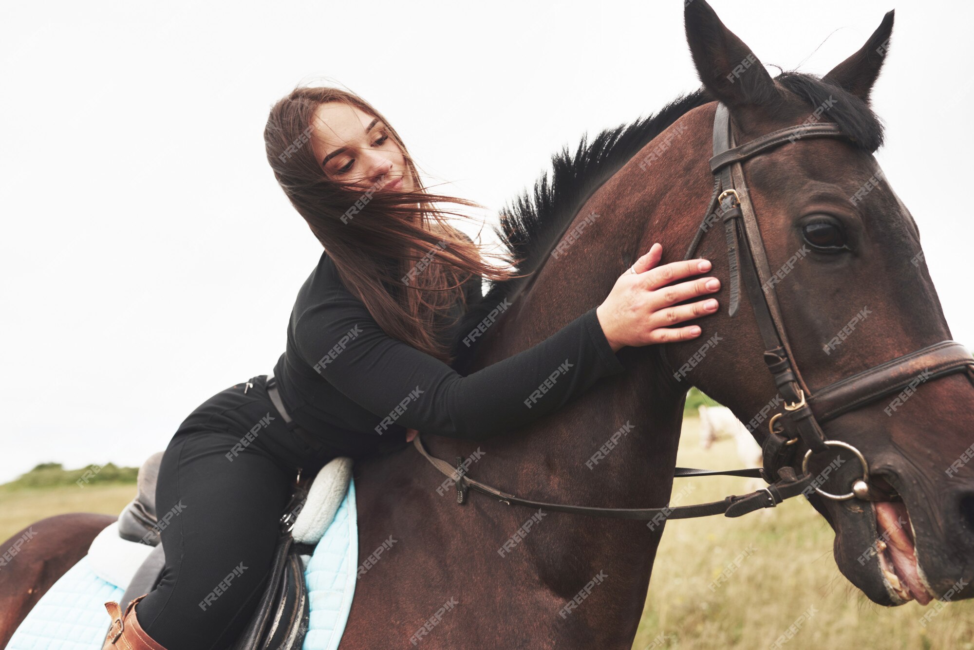 Jovem mostra pulando com cavalo - Fotos de arquivo #14202335