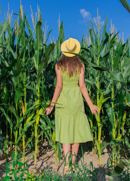 Jovem mulher bonita de chapéu amarelo entre as plantas de milho no campo de milho na temporada de verão Bereza Bielorrússia