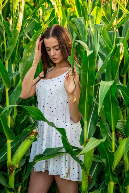 Foto jovem mulher bonita de vestido branco no campo de milho