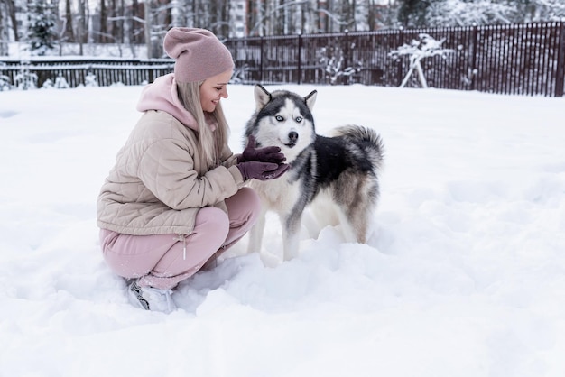 Jovem mulher brincando com cachorro husky siberiano na neve em dia de inverno, treinando e passeando com seu cachorro de estimação. Amizade, cachorro adorável, melhor animal de estimação, cachorro para passear com seu dono