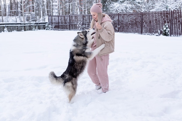 Jovem mulher brincando com cachorro husky siberiano na neve em dia de inverno, treinando e passeando com seu cachorro de estimação. Amizade, cachorro adorável, melhor animal de estimação, cachorro para passear com seu dono