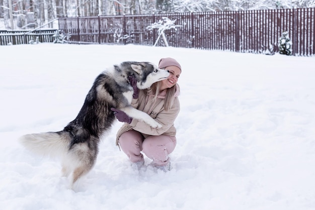 Jovem mulher brincando com cachorro husky siberiano na neve em dia de inverno, treinando e passeando com seu cachorro de estimação. Amizade, cachorro adorável, melhor animal de estimação, cachorro para passear com seu dono