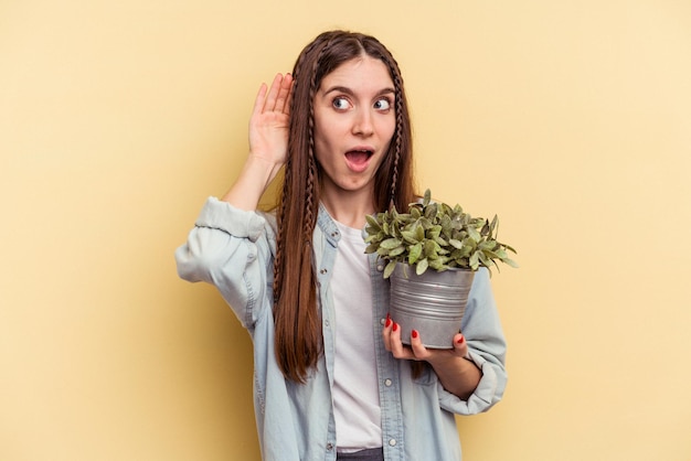 Jovem mulher caucasiana, segurando uma planta isolada em fundo amarelo, tentando ouvir uma fofoca.