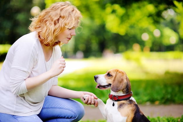 Jovem mulher com cachorro Beagle no parque de verão. Animal de estimação obediente com seu dono praticando o comando da pata