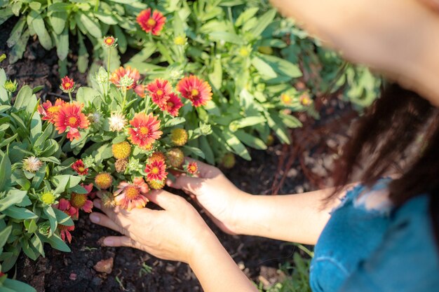 Jovem mulher cuidar de flores no jardim.