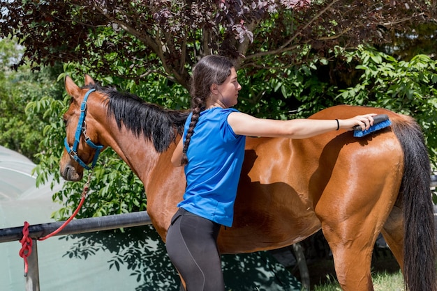 Jovem mulher escovando cavalo no quintal