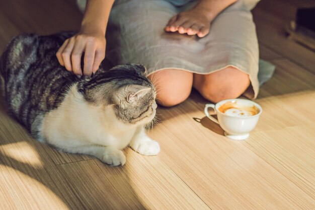 Jovem mulher está bebendo café e acariciando o gato.