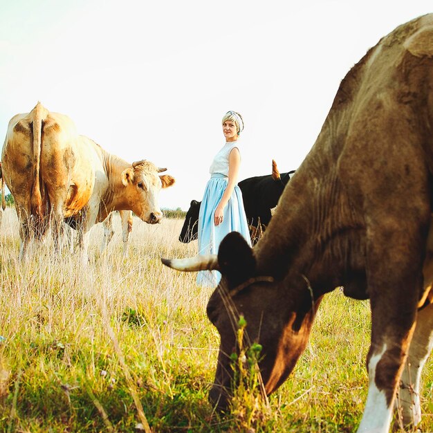 Jovem mulher feliz elegante andando na natureza, vila. Pasto, prado. vacas. Paisagem rural