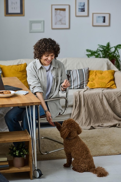 Jovem mulher feliz treinando seu cachorro e brincando com ele enquanto está sentado à mesa com o laptop