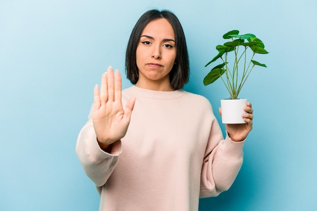 Jovem mulher hispânica segurando uma planta isolada em fundo azul em pé com a mão estendida mostrando sinal de pare impedindo você