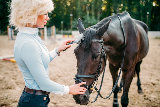 Jovem mulher loira cuidar do cavalo castanho. Esporte equestre, senhora atraente e belo garanhão