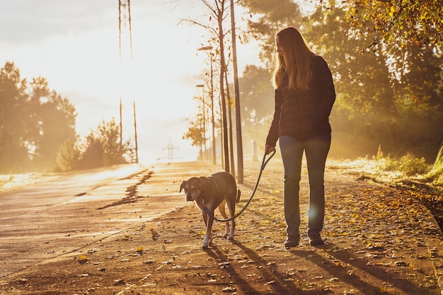 Jovem mulher passeando com seu cachorro na natureza com os raios do sol da manhã, brilho quente e longas sombras