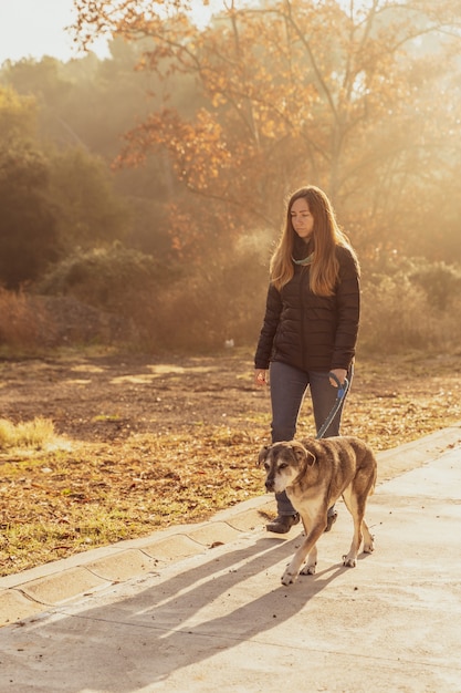 Jovem mulher passeando com seu cachorro na natureza com os raios do sol da manhã, brilho quente e longas sombras