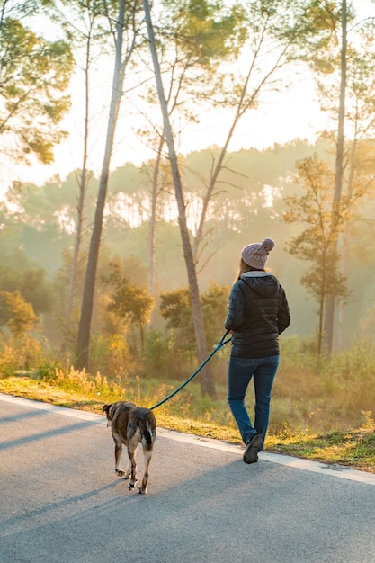 Jovem mulher passeando com seu cachorro na natureza com os raios do sol da manhã, brilho quente e longas sombras