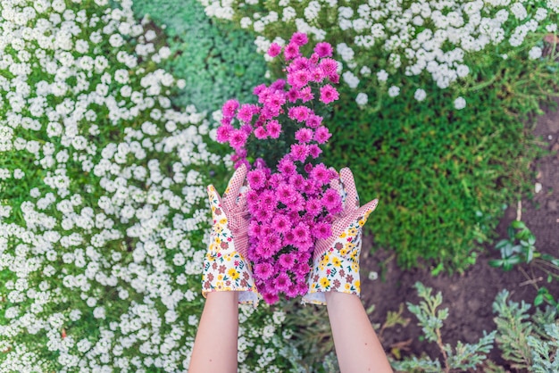 jovem mulher plantando flores em seu jardim. jovem jardineiro cuidado de flores no jardim. Menina arrancando as ervas daninhas no maciço de flores. Pessoas, jardinagem, cuidado de flores, conceito de passatempo