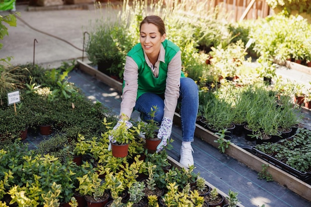 Jovem mulher qualificada trabalhando em uma estufa, segurando e organizando vasos de flores. Mulher empreendedora.