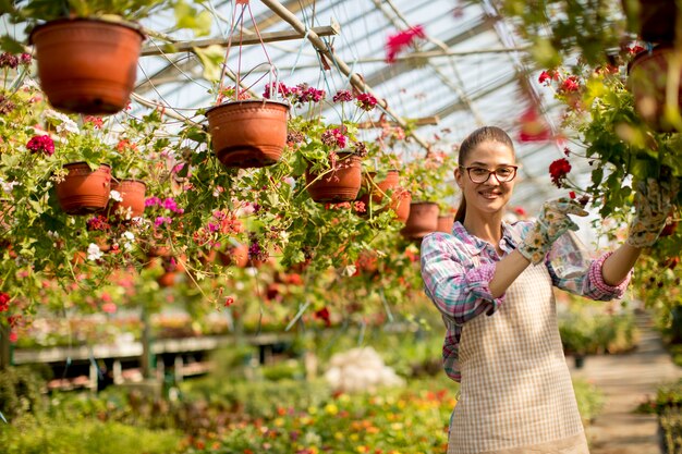 Jovem mulher que trabalha com flores da primavera na estufa