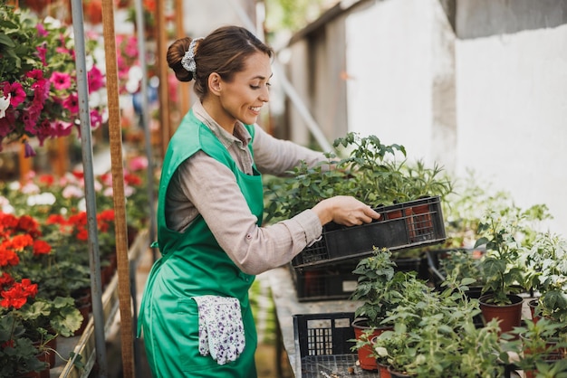 Jovem mulher trabalhando em uma estufa, segurando e organizando a caixa com legumes. mulher empreendedora.