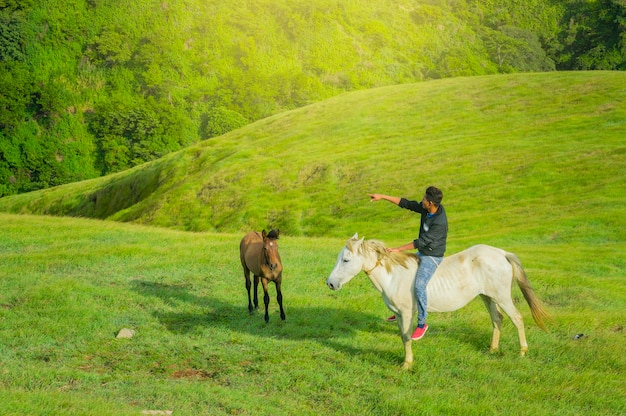 Jovem no campo andando a cavalo, Um homem andando a cavalo no campo e apontando, montando um lindo cavalo no campo