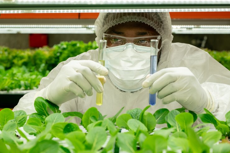 Foto jovem pesquisador ou agroengenheiro contemporâneo em trajes de trabalho de proteção segurando dois frascos com substâncias líquidas sobre mudas de alface verde