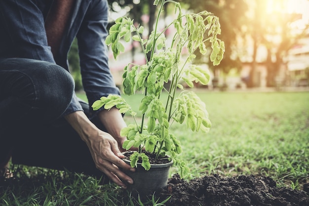 Jovem plantando a árvore no jardim como dia da terra e salvar o conceito de mundo