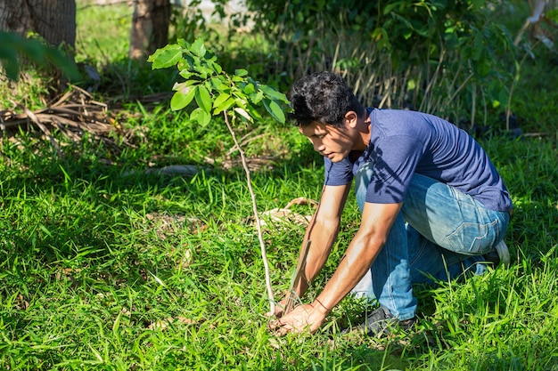 jovem plantando a árvore