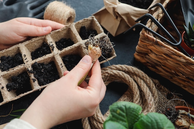 Jovem plantando sementes em casa