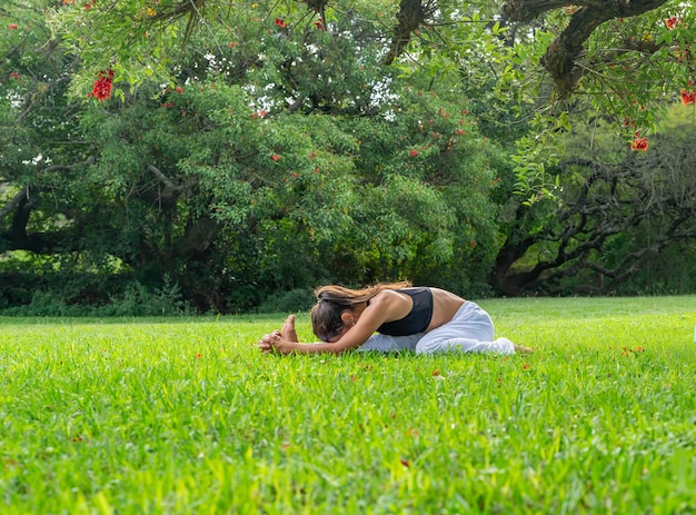 Jovem praticando ioga fazendo pose de curva para a frente debaixo de uma árvore em um conceito ParkWellness