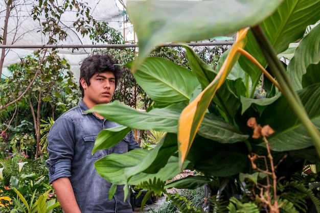 Jovem proprietário de jardim masculino cultivando plantas no conceito de empresário de pequenas empresas com efeito de estufa