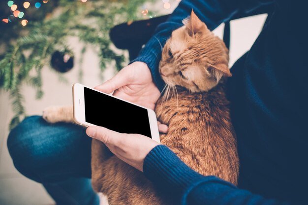 Jovem relaxando em casa com gato ruivo e smartphone na mão