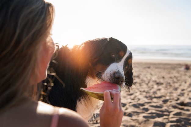 Foto jovem se divertindo com cachorro na praia