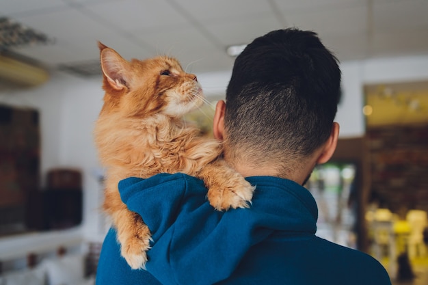 Jovem segurando o gato ruivo maine coon.