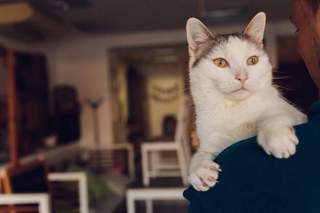 Jovem segurando um close-up de gato branco.