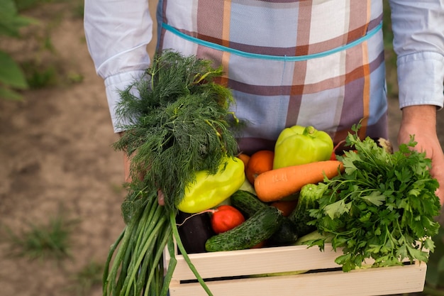jovem segurando uma caixa de vegetais