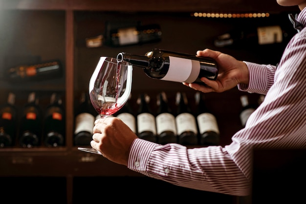 Foto jovem sommelier bonito na loja de vinhos