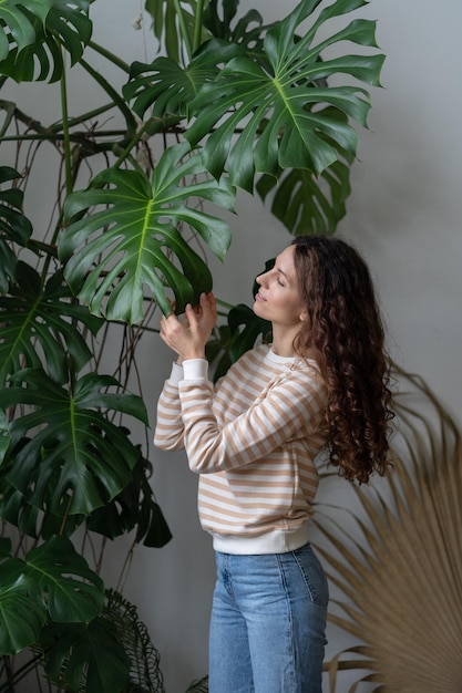 Jovem sorridente tocando folha de planta monstera desfrutando de jardinagem em casa e cuidados com as plantas