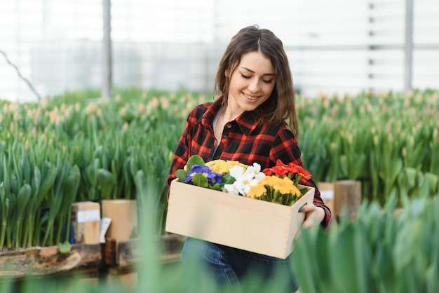 Jovem, trabalhadora com flores em estufa