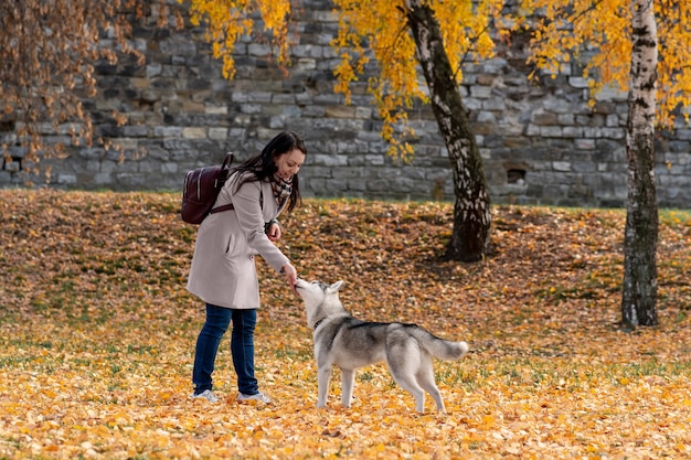 Jovem treinando seu cachorro husky no outono parque da cidade