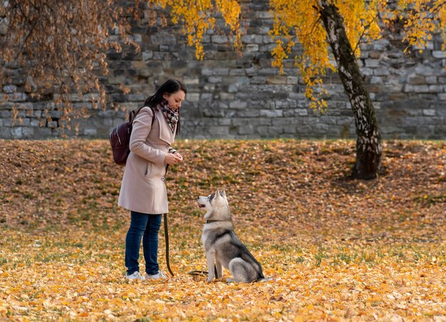 Jovem treinando seu cachorro husky no outono parque da cidade