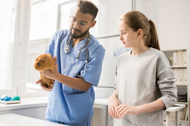 Foto jovem, uniforme, veterinário, segurando, adulto, marrom, cobaia, enquanto, examiná-la, em, clínicas