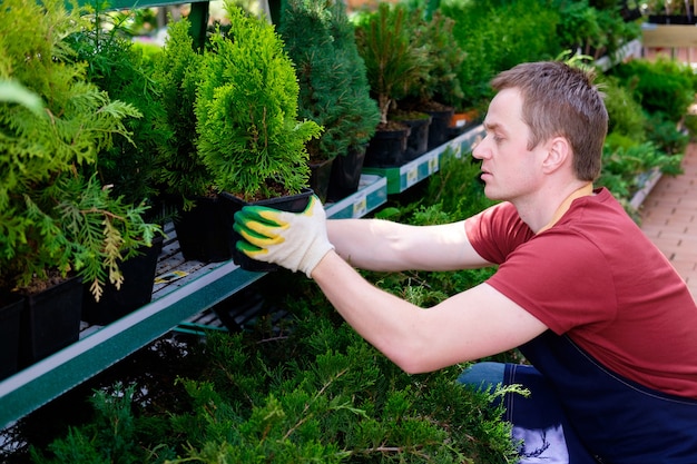 Jovem vendedor no mercado de plantas