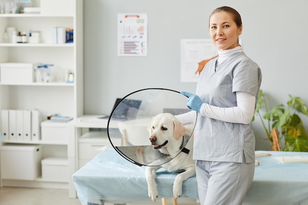 Jovem veterinário bem sucedido em batas médicas ao lado de labrador doente