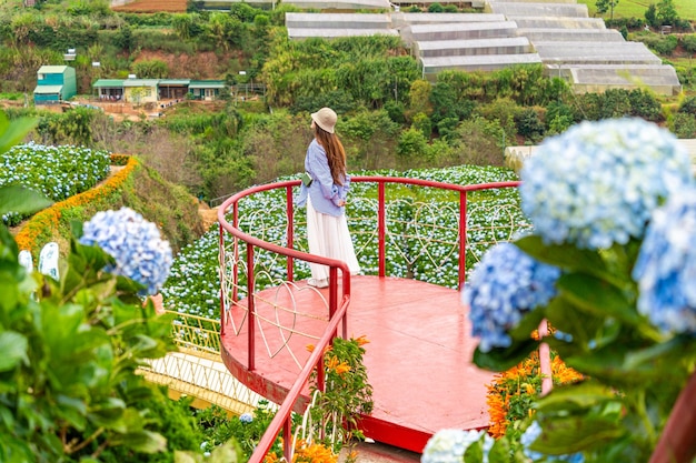 Jovem viajante desfrutando de um jardim de hortênsias em flor em Dalat Vietnã Conceito de estilo de vida de viagem