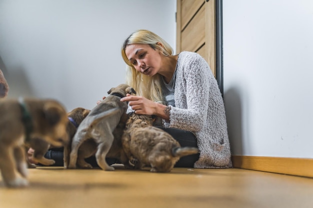 Una joven adulta caucásica cariñosa se sienta en un piso de madera en una habitación y juega con cachorros mestizos guardados Concepto de hogar temporal