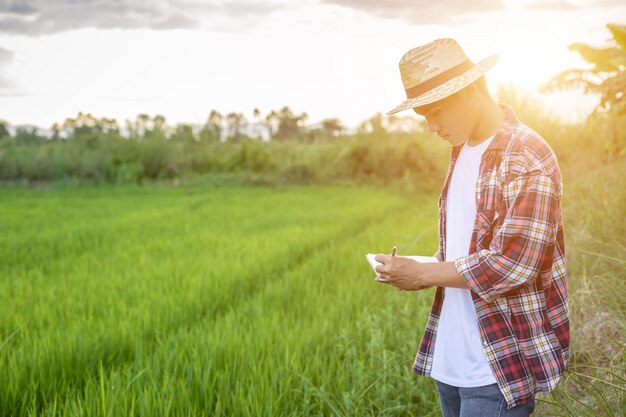 Joven agricultor asiático revisando su campo de arroz verde y hacer un informe en el cuaderno