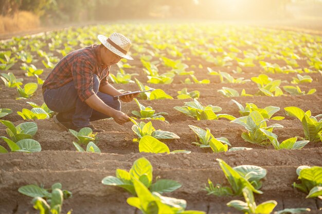 Joven agricultor asiático trabajando en el campo