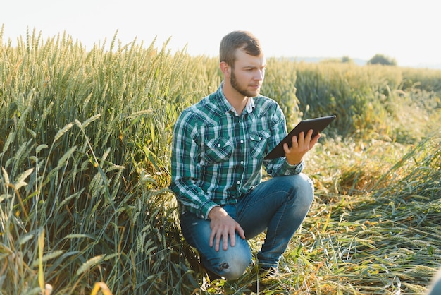 Joven agricultor en un campo de trigo antes de la cosecha.