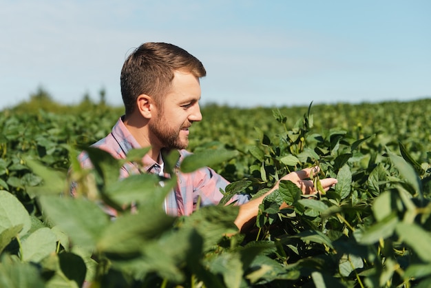 Joven agricultor en campos de soja