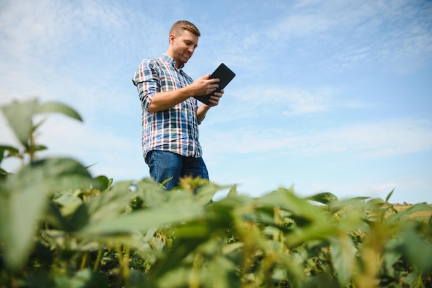 Joven agricultor en campos de soja